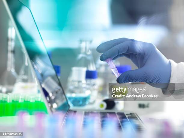 research experiment, scientist examining vial containing sample used in biomedical, dna, biotechnology, analytical chemistry and pharmaceutical research - processo foto e immagini stock