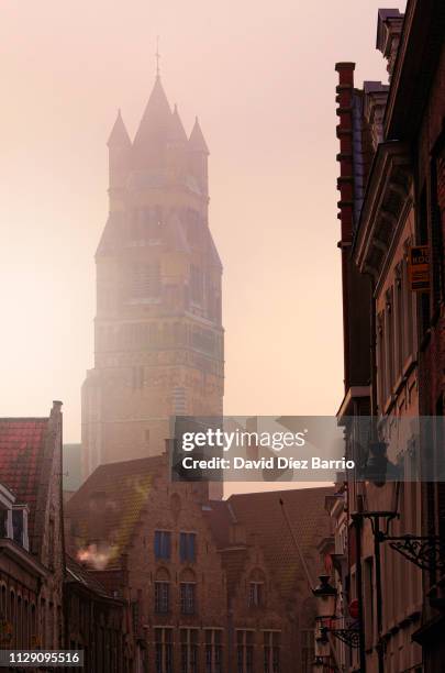 tower of the sint-salvator cathedral in bruges seen from one of the city streets - negocios, finanzas e industria stock-fotos und bilder