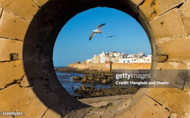 gulls seen through port hole, essaouira, morocco - essaouira stock-fotos und bilder