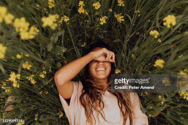 young woman lying in yellow wildflower field, overhead portrait, jalama, california, usa - bloemenveld stockfoto's en -beelden