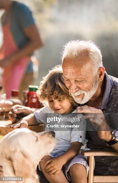 senior grootouder en zijn grandkid plezier met een hond in de achtertuin. - summer picnic stockfoto's en -beelden