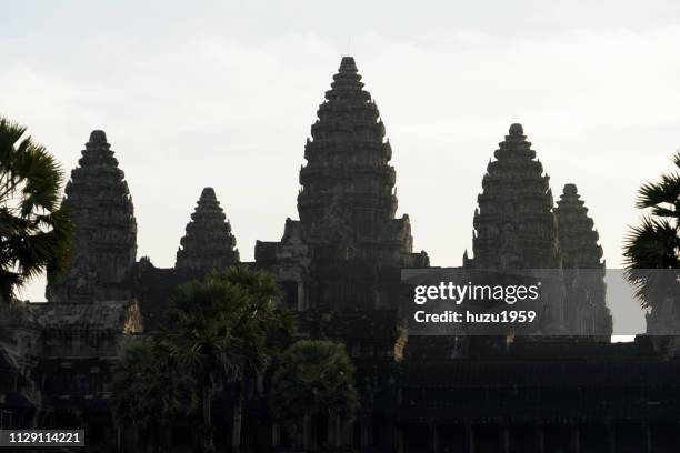 angkor wat, early in the morning - 石材 bildbanksfoton och bilder