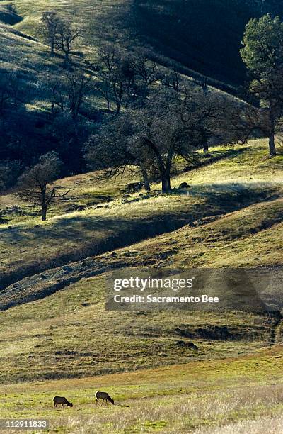 Capay Canyon Ranch 59 Capay Valley Stock Photos, High-Res Pictures, and Images - Getty Images