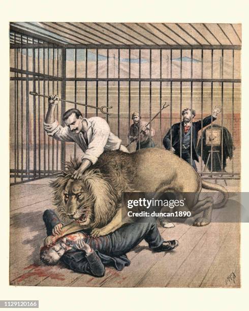 ilustrações de stock, clip art, desenhos animados e ícones de lion mauling man in a cage, french, 19th century - domador de leões