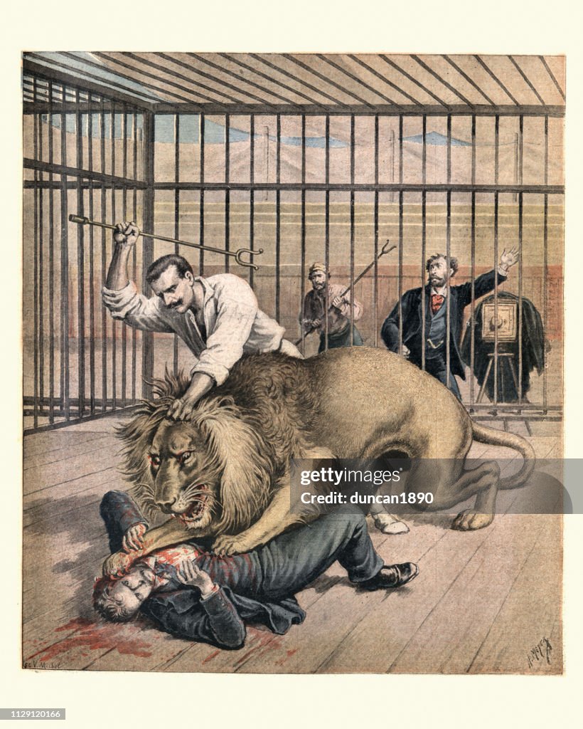 Lion mauling man in a cage, French, 19th Century