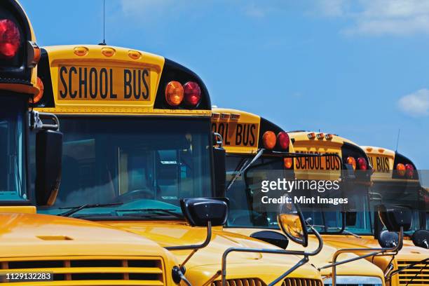 yellow school buses parked diagonally - minibuses stock pictures, royalty-free photos & images