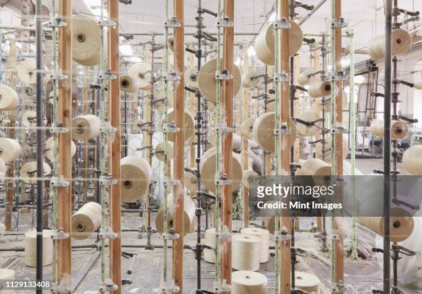 reeled textile threads - flax plant stock pictures, royalty-free photos & images