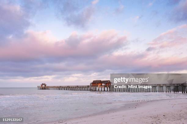 naples pier at dawn - naples pier stock pictures, royalty-free photos & images