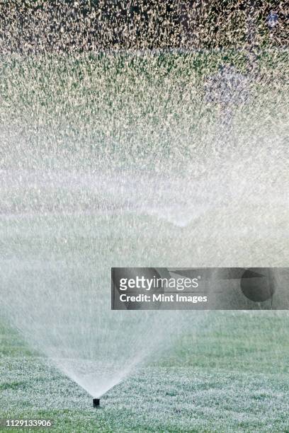 sprinklers on lawn - irrigation equipment stock pictures, royalty-free photos & images