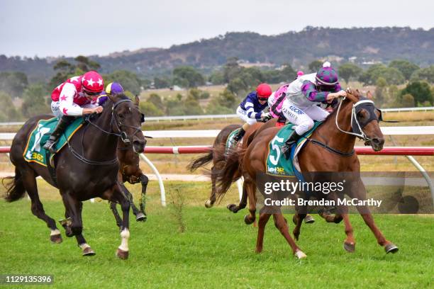 Lazy Bear ridden by Linda Meech wins the Ararat Farm Supplies BM58 Handicap at Ararat Racecourse on March 08, 2019 in Ararat, Australia.