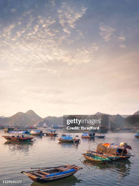 le port sur l’île de cat ba dans la baie d’halong, vietnam - baie d'along photos et images de collection