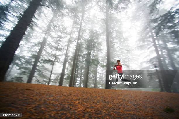 snabb kvinna kör i dimman genom en woodlands skog kontrollera hennes tid - blurred motion bildbanksfoton och bilder