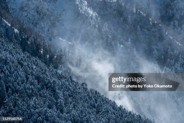 snow flying - 雄大 fotografías e imágenes de stock