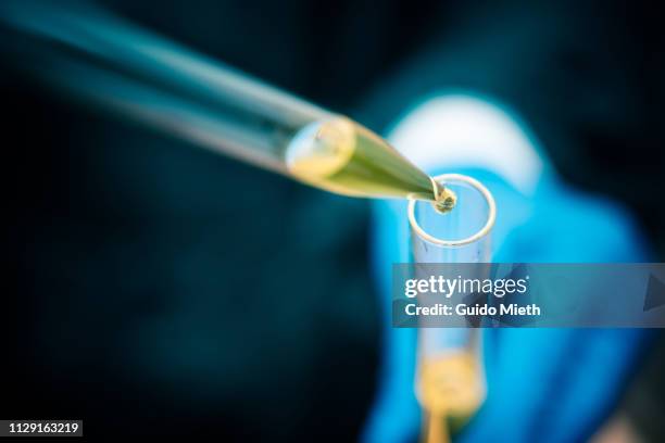 using a pipette. - química fotografías e imágenes de stock