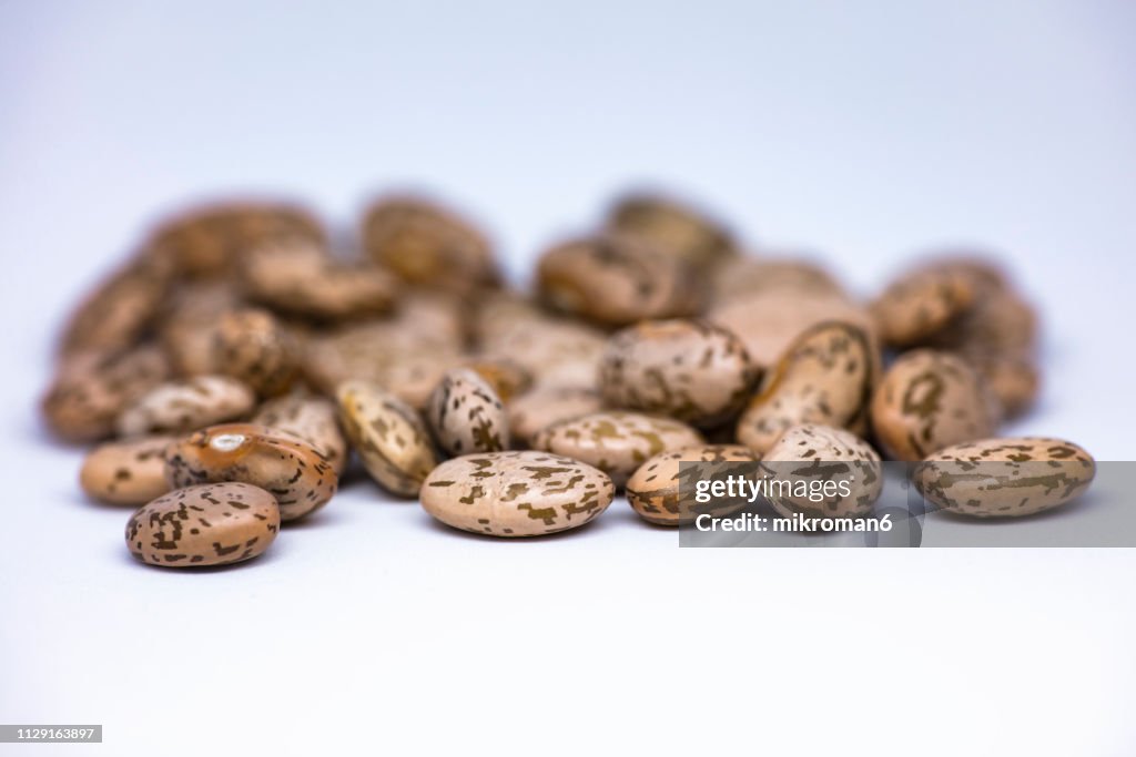 Healthy Eating, Pinto Beans, close-up. Raw food ingredient