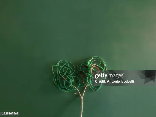 lonely tree... - colore verde bildbanksfoton och bilder