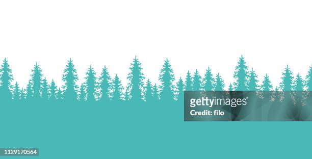illustrations, cliparts, dessins animés et icônes de forêt de pins bordée frontière - bordé d'arbres