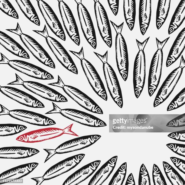 ilustrações de stock, clip art, desenhos animados e ícones de vector think outside the box or behave individual concept background - sardine