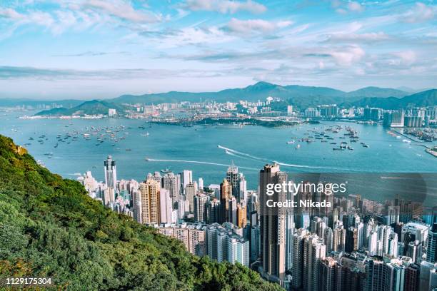 hong kong skyline bei sonnenaufgang - tsim sha tsui stock-fotos und bilder