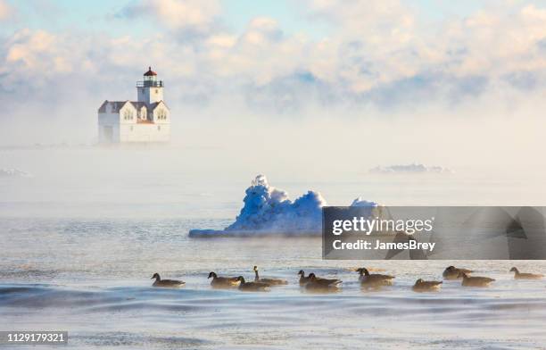 lighthouse in steaming foggy waters with geese and iceberg. - slush ice stock pictures, royalty-free photos & images