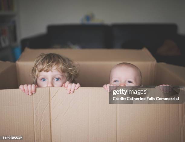 kids in a cardboard box - boy in a box stockfoto's en -beelden