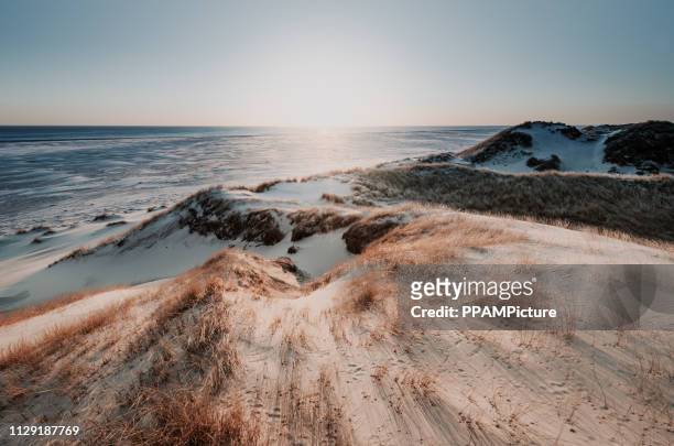 ilha de paisagem costeira de amrum - duna - fotografias e filmes do acervo