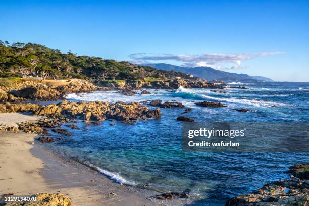 californië kust - city of monterey californië stockfoto's en -beelden