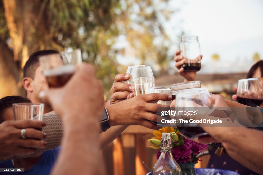 Family toasting with drinks at backyard party