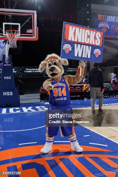 The Westchester Knicks mascot Hudson celebrates the victory over the Windy City Bulls at the Westchester County Center on March 7, 2019 in...