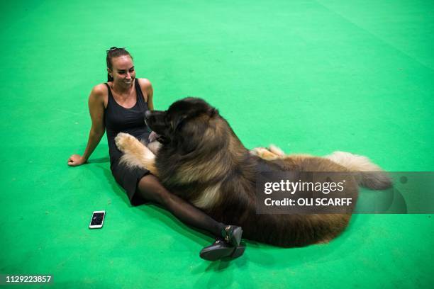 Jesika Junehall from Sweden rests with her leonberger dog in a vacant show ring on the second day of the Crufts dog show at the National Exhibition...