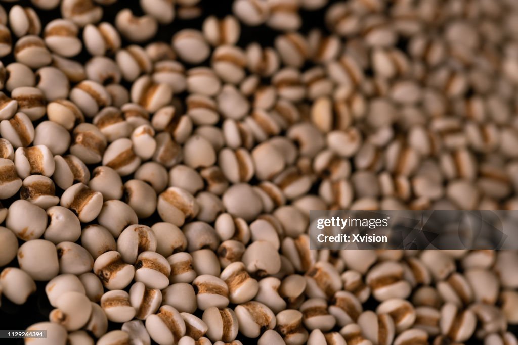 Coix seeds dancing captured with high speed sync