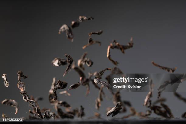 red tea leaves dancing captured with high speed sync"n - chá oolong - fotografias e filmes do acervo