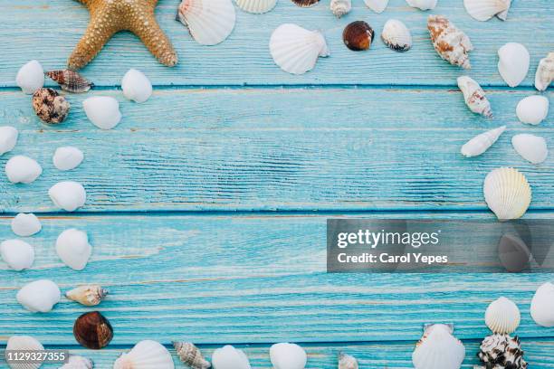 summer seashells frame.turquoise wooden background - boat deck background stock pictures, royalty-free photos & images