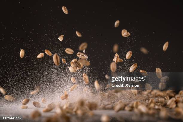 highland barley seeds dancing captured with high speed sync - barley bildbanksfoton och bilder
