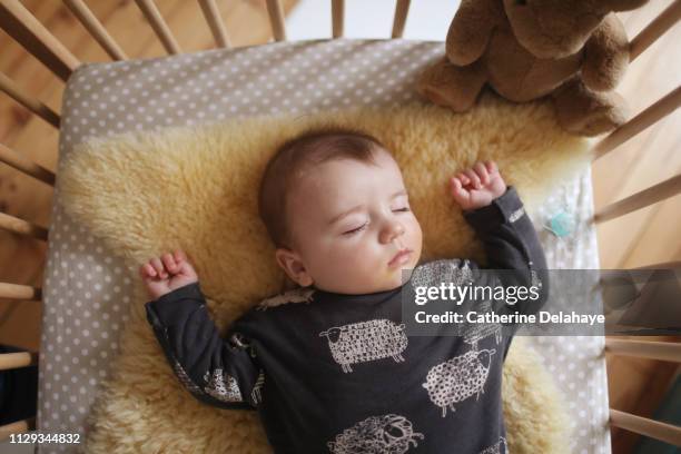 a 6 months baby boy sleeping in his cradle - cot stock pictures, royalty-free photos & images