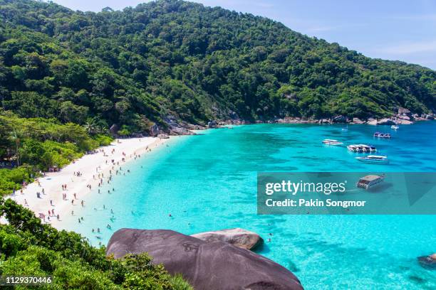 top view of similan island at mu koh surin national park - surin beach stock pictures, royalty-free photos & images