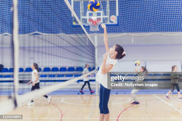 female volleyball team exercising indoors - candid volleyball stock pictures, royalty-free photos & images