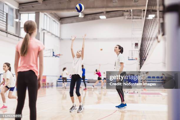 vrouwelijk volleybal team trainen binnenshuis - zaalvolleybal stockfoto's en -beelden