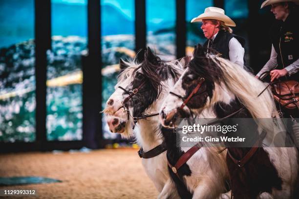 Riders of the Equitana presenting their horses during the Equitana 2019, Equestrian World Trade Fair, at Grugahalle on March 9, 2019 in Essen,...