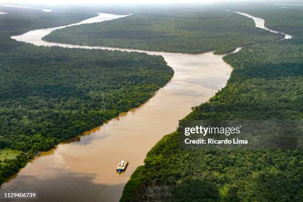 amazon river in aerial view - para state, brazil - belem stock pictures, royalty-free photos & images