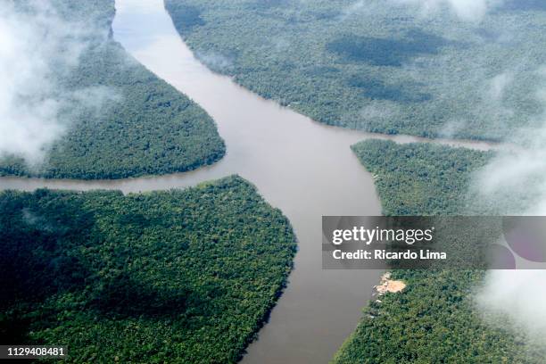 aerial view of amazon river, brazil - amazon river stock pictures, royalty-free photos & images
