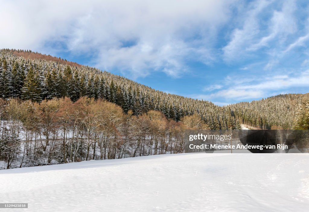 Scenic countryside in winter season, Oberkirchen, in the Sauerland, Germany.