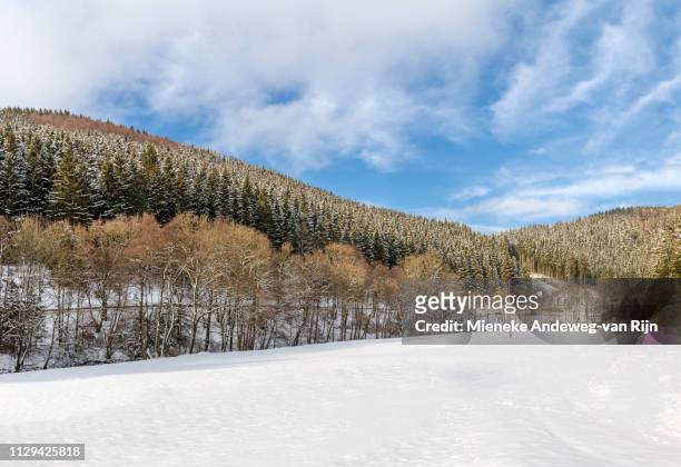 scenic countryside in winter season, oberkirchen, in the sauerland, germany. - landelijke scène stock pictures, royalty-free photos & images