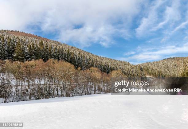 scenic countryside in winter season, oberkirchen, in the sauerland, germany. - landelijke scène - fotografias e filmes do acervo