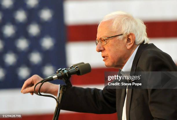 Democratic presidential candidate U.S. Sen. Bernie Sanders speaks at a rally at the Iowa State Fairgrounds on March 9, 2019 in Des Moines, Iowa....