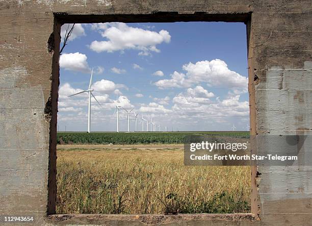 Wind turbines sit in a field of milo in Nolan, Texas.