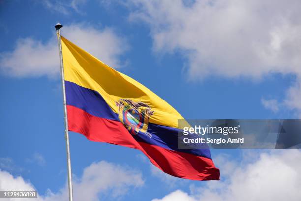 flag of ecuador - ecuador stock pictures, royalty-free photos & images
