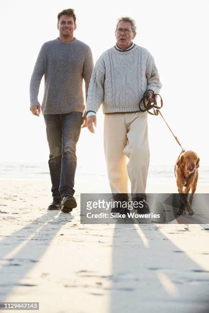 mature son and his senior father walking on the beach with their dog at sunset - middle age man and walking the dog stockfoto's en -beelden