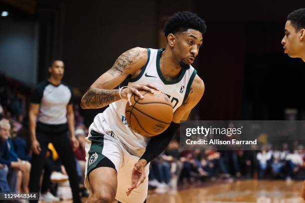 Christian Wood of the Wisconsin Herd handles the ball against the Canton Charge during the NBA G League on March 9, 2019 at the Canton Memorial Civic...