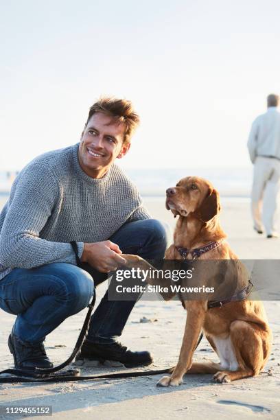 mature adult man sitting beside his vizsla dog at the beach - middle age man and walking the dog stockfoto's en -beelden